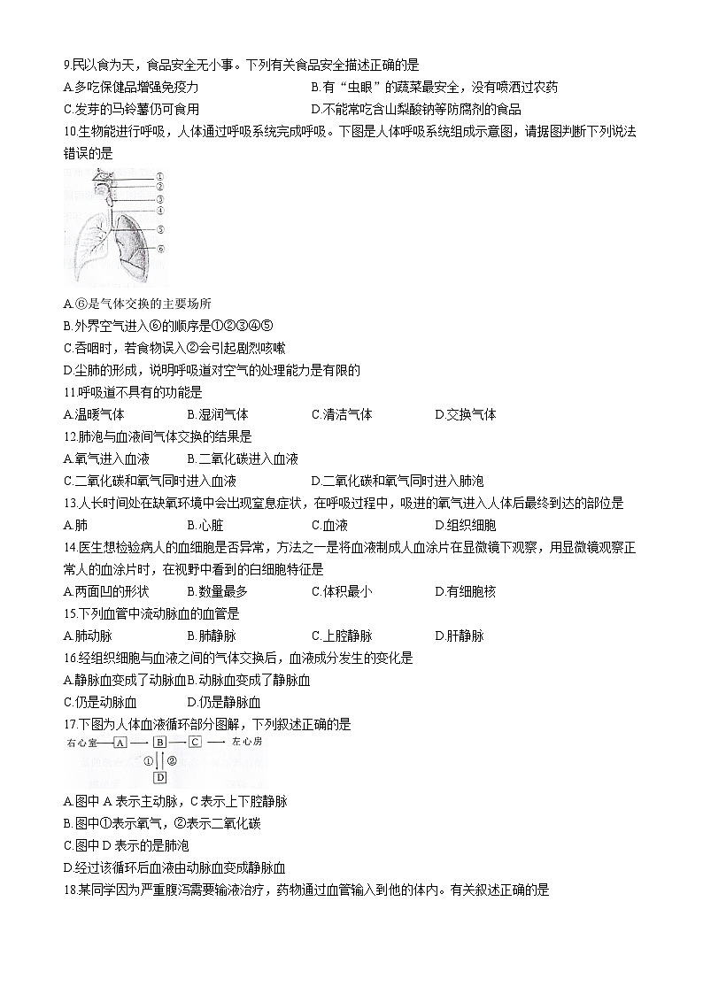 广东省江门市恩平市2023-2024学年七年级下学期期末检测生物试卷(无答案)02