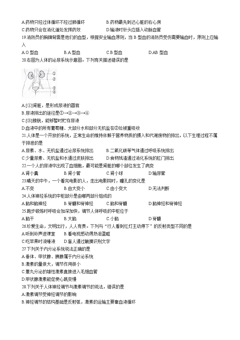 广东省江门市恩平市2023-2024学年七年级下学期期末检测生物试卷(无答案)03