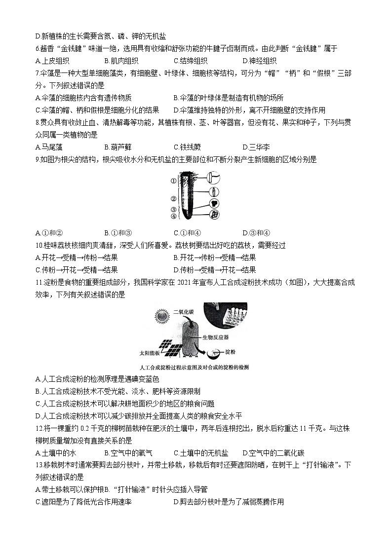 广东省茂名市直属学校2023-2024学年七年级下学期7月期末考试生物试卷02