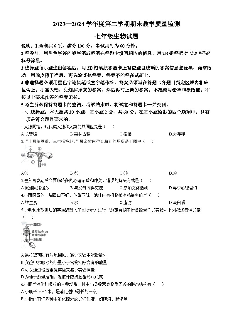 广东省阳江市阳东区2023-2024学年七年级下学期期末考试生物试卷(无答案)01