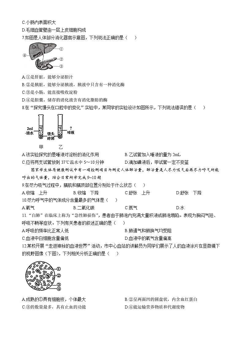 广东省阳江市阳东区2023-2024学年七年级下学期期末考试生物试卷(无答案)02