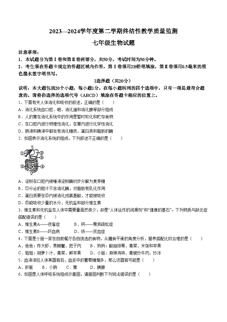 山东省菏泽市鄄城县2023-2024学年七年级下学期7月期末生物试题01