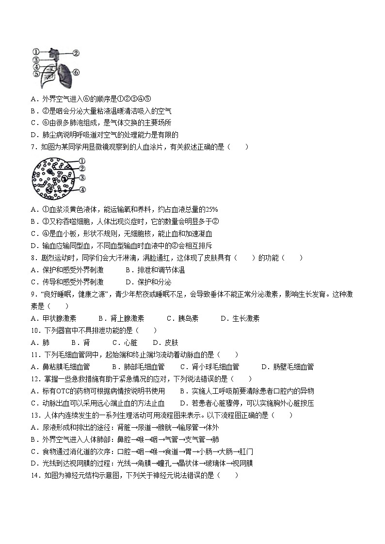 山东省菏泽市鄄城县2023-2024学年七年级下学期7月期末生物试题02