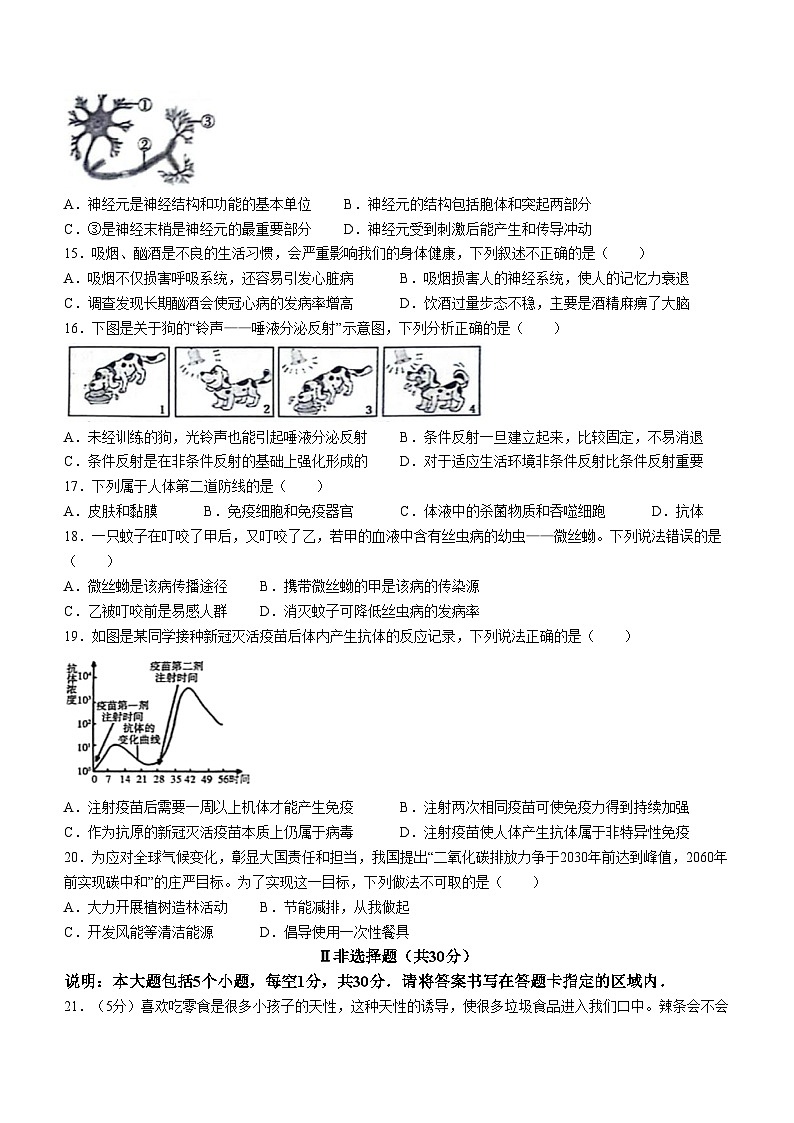 山东省菏泽市鄄城县2023-2024学年七年级下学期7月期末生物试题03