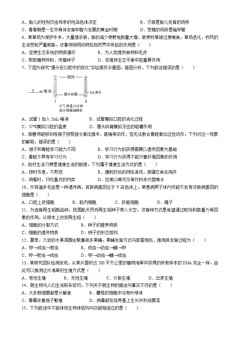 四川省雅安市2023-2024学年八年级下学期期末考试生物试题(无答案)第2页