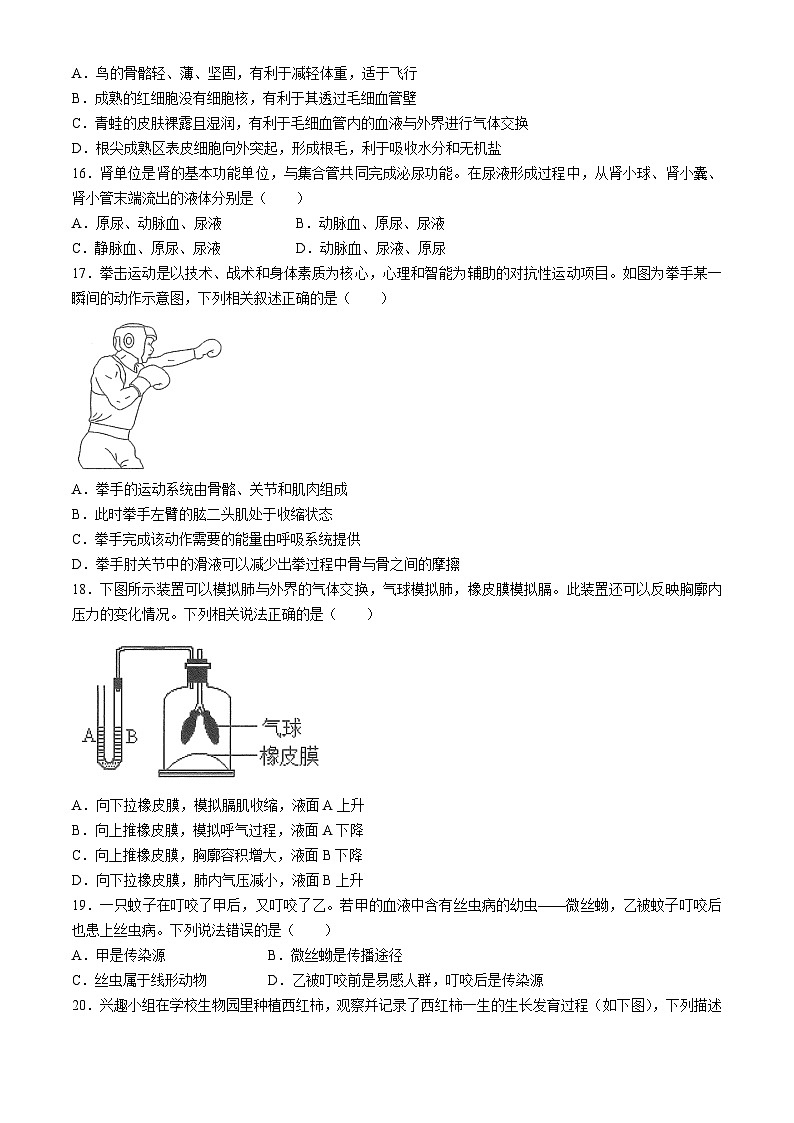四川省雅安市2023-2024学年八年级下学期期末考试生物试题(无答案)第3页