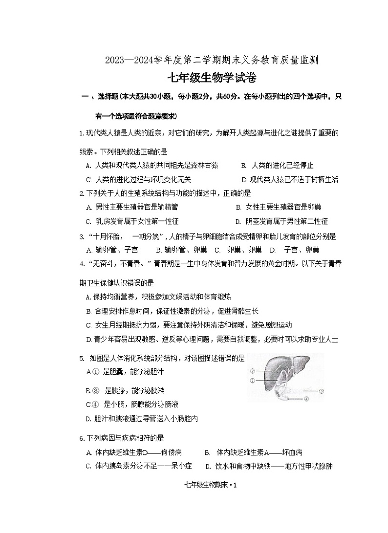 广东省江门市恩平市2023-2024学年七年级下学期期末检测生物试卷第1页