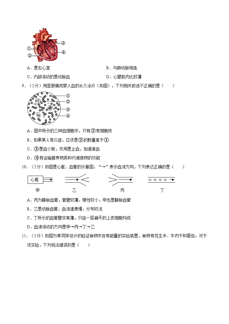 2022-2023学年四川省成都市铁路中学七年级（下）期末生物试卷02