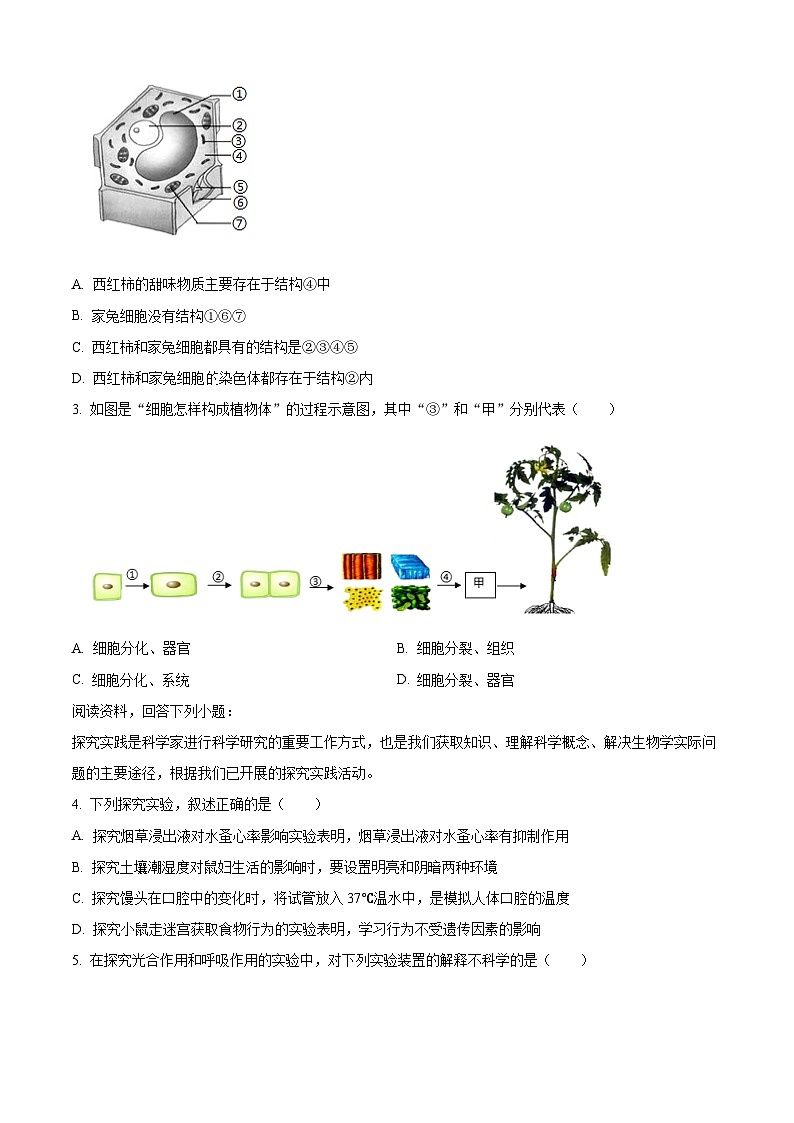 2024年山东省临沂市中考生物真题（原卷版+解析版）02