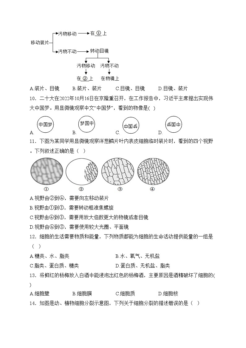 富顺第二中学校2023-2024学年七年级上学期12月月考生物试卷(含答案)第3页