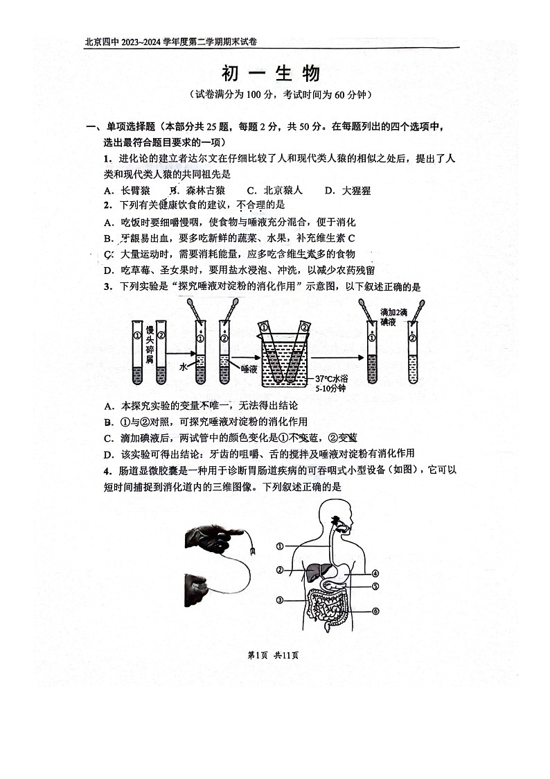 [生物][期末]2024北京四中初一下学期期末生物试卷第1页