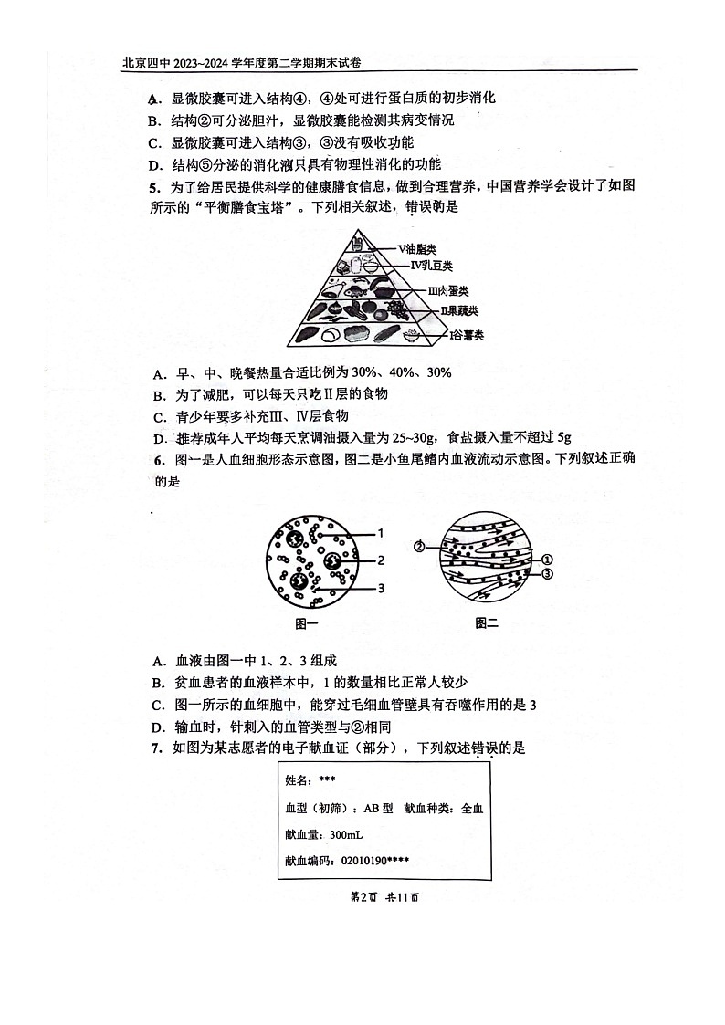 [生物][期末]2024北京四中初一下学期期末生物试卷第2页