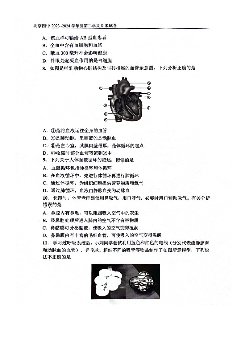 [生物][期末]2024北京四中初一下学期期末生物试卷第3页