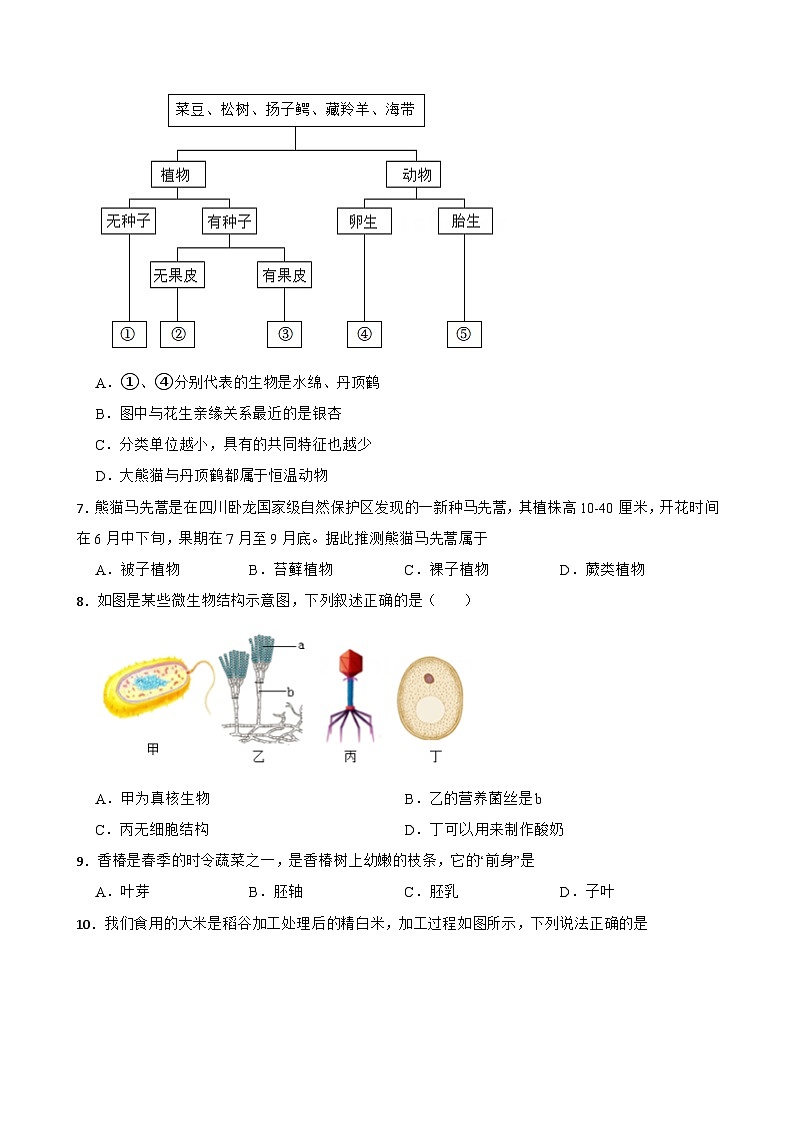 2024年河北省唐山市路北区中考生物模拟预测试题第2页