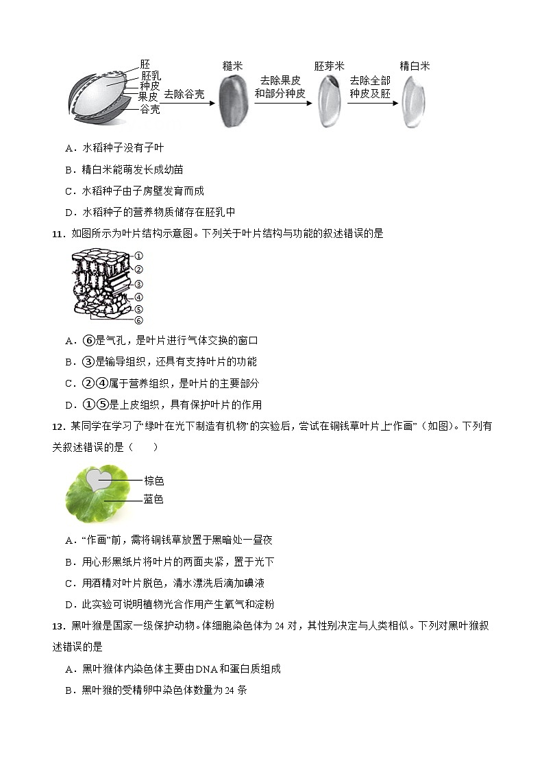 2024年河北省唐山市路北区中考生物模拟预测试题第3页