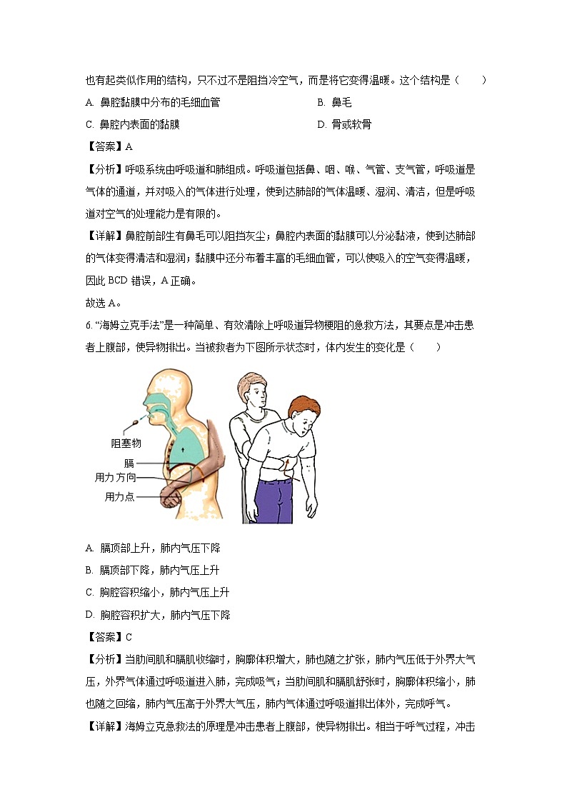 [生物]河南省淮阳中学2023-2024学年七年级下学期5月月考试题(解析版)03