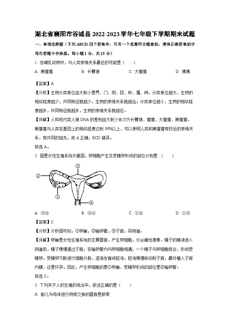 [生物][期末]湖北省襄阳市谷城县2022-2023学年七年级下学期期末试题(解析版)第1页