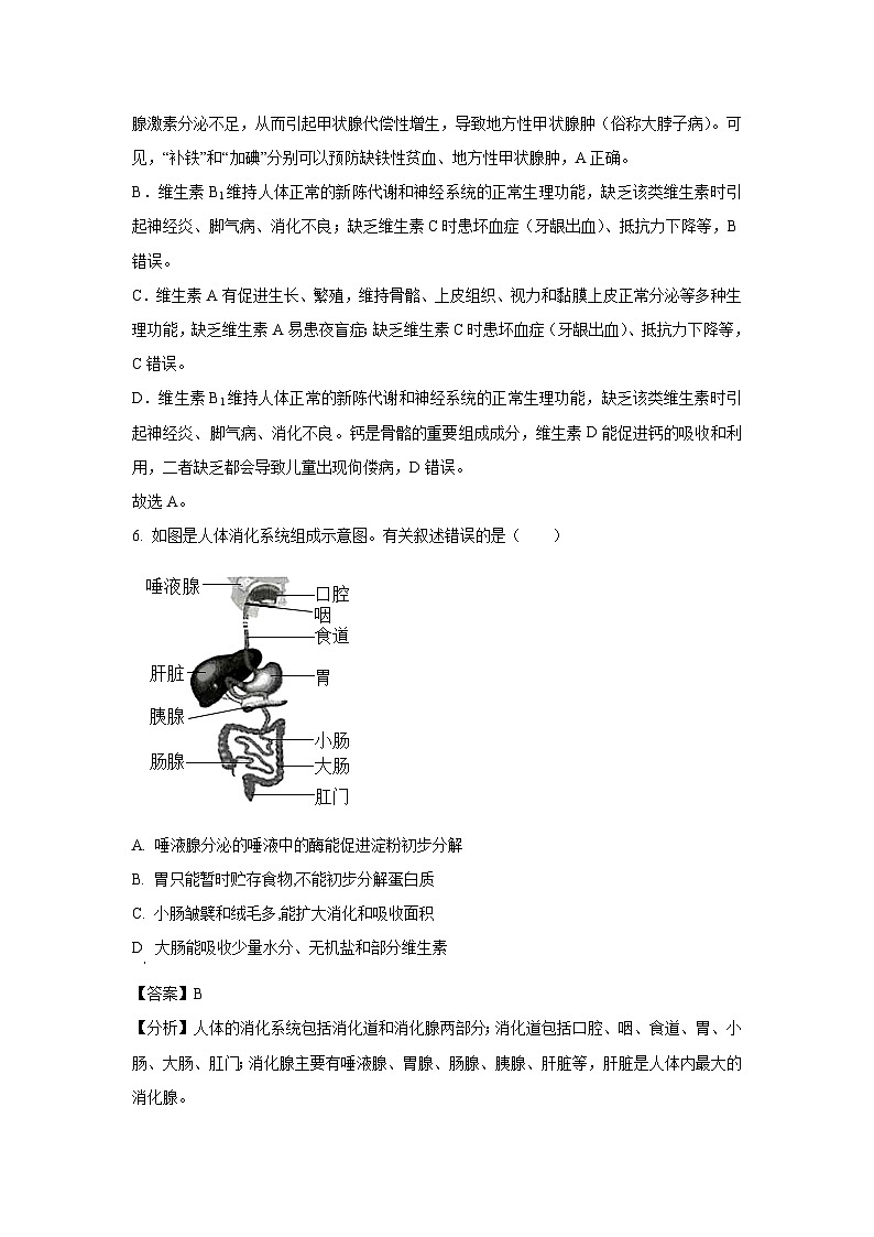 [生物][期末]山东省日照市岚山区2022-2023学年七年级下学期期末试题(解析版)03