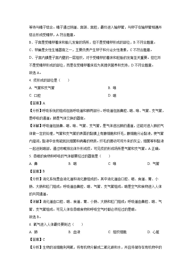 [生物][期中]陕西省宝鸡市渭滨区2023-2024学年七年级下学期期中试题(解析版)第2页