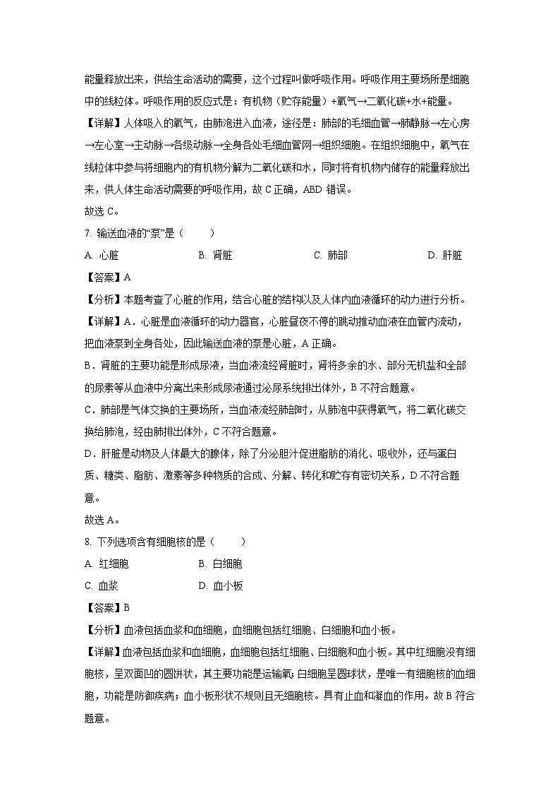 [生物][期中]陕西省宝鸡市渭滨区2023-2024学年七年级下学期期中试题(解析版)第3页