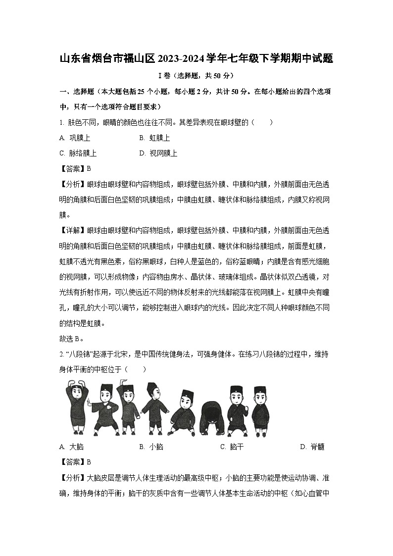 [生物][期中]山东省烟台市福山区2023-2024学年七年级下学期期中试题(解析版)第1页