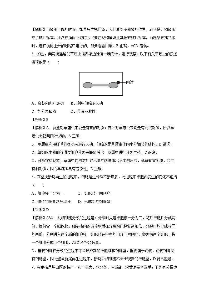 [生物]2024年深圳中考模拟测试卷四(解析版)第2页