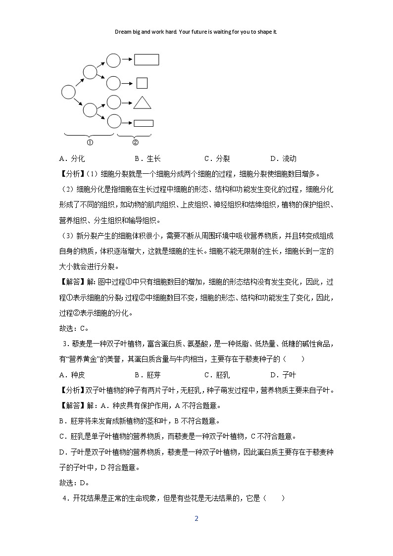 [生物]2024年中考生物临考定心模拟卷二(吉林省卷)(解析卷)第2页