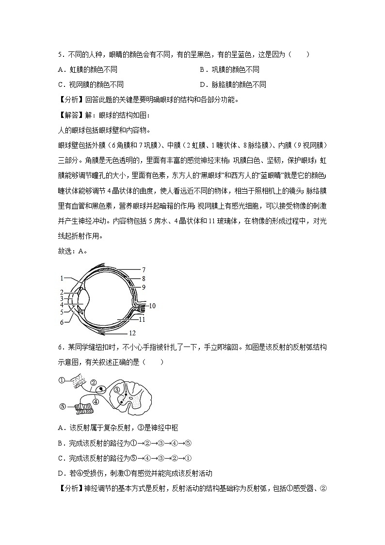 [生物]2024年中考生物临考定心模拟卷五(吉林省卷)(解析卷)第3页
