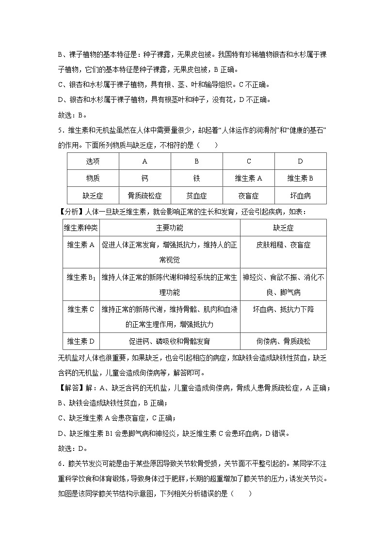 [生物]2024年中考生物临考定心模拟卷四(吉林省卷)(解析卷)第3页