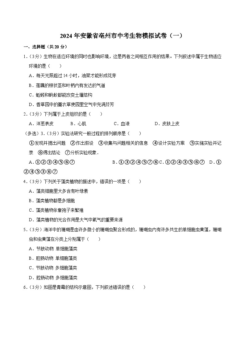 2024年安徽省亳州市中考生物模拟试卷（一）第1页