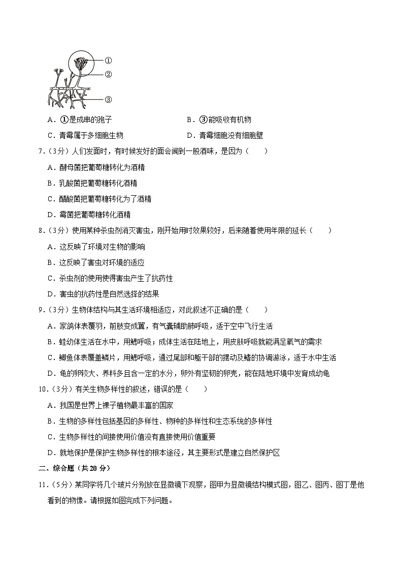2024年安徽省亳州市中考生物模拟试卷（一）第2页