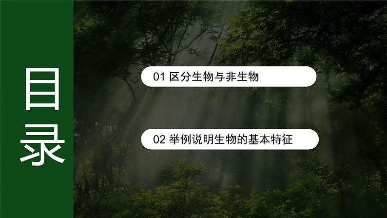 人教版 初中生物七年级上册1.1.2生物的特征课件+视频03