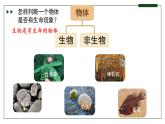 人教版 初中生物七年级上册1.1.2生物的特征课件+视频