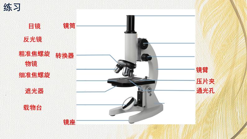 人教版 初中生物七年级上册1.2.1学习使用显微镜课件+视频06