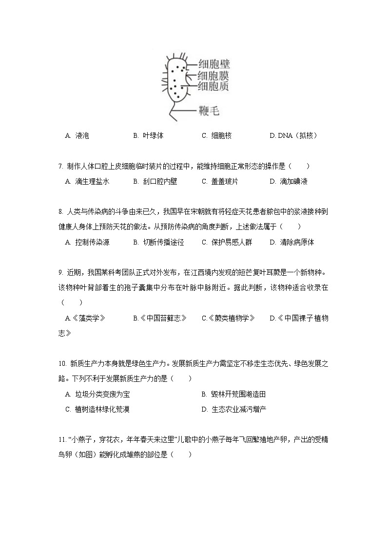 2024年江西省中考生物试卷（含答案）第2页