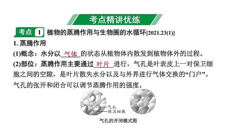 2024徐州中考生物二轮中考考点研究 第13讲 生态系统的稳定 （课件）第2页