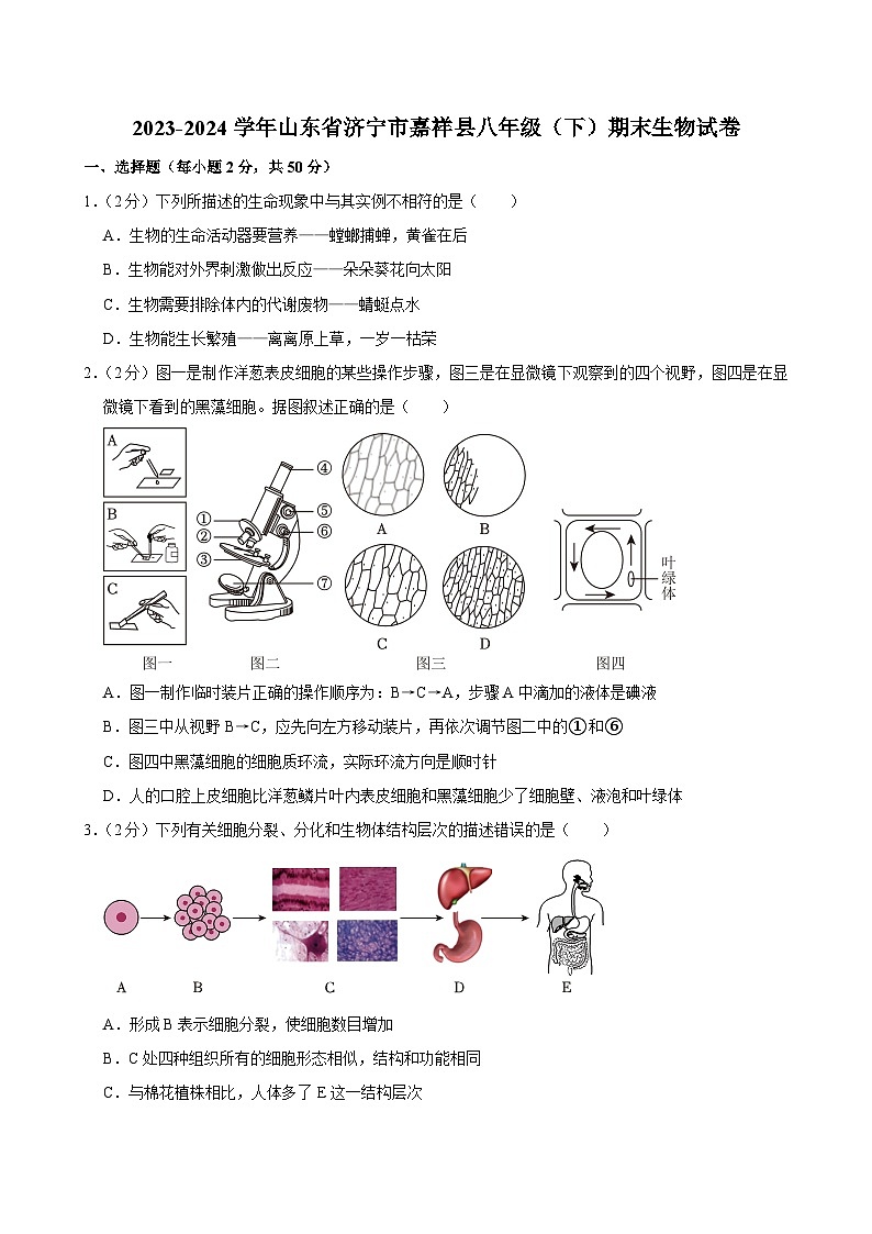 山东省济宁市嘉祥县2023-2024学年八年级下学期期末生物试卷01