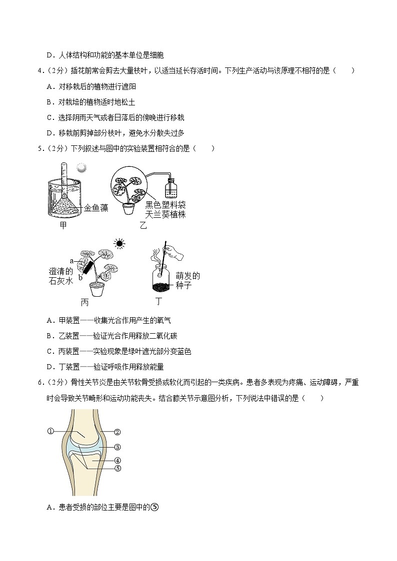 山东省济宁市嘉祥县2023-2024学年八年级下学期期末生物试卷02