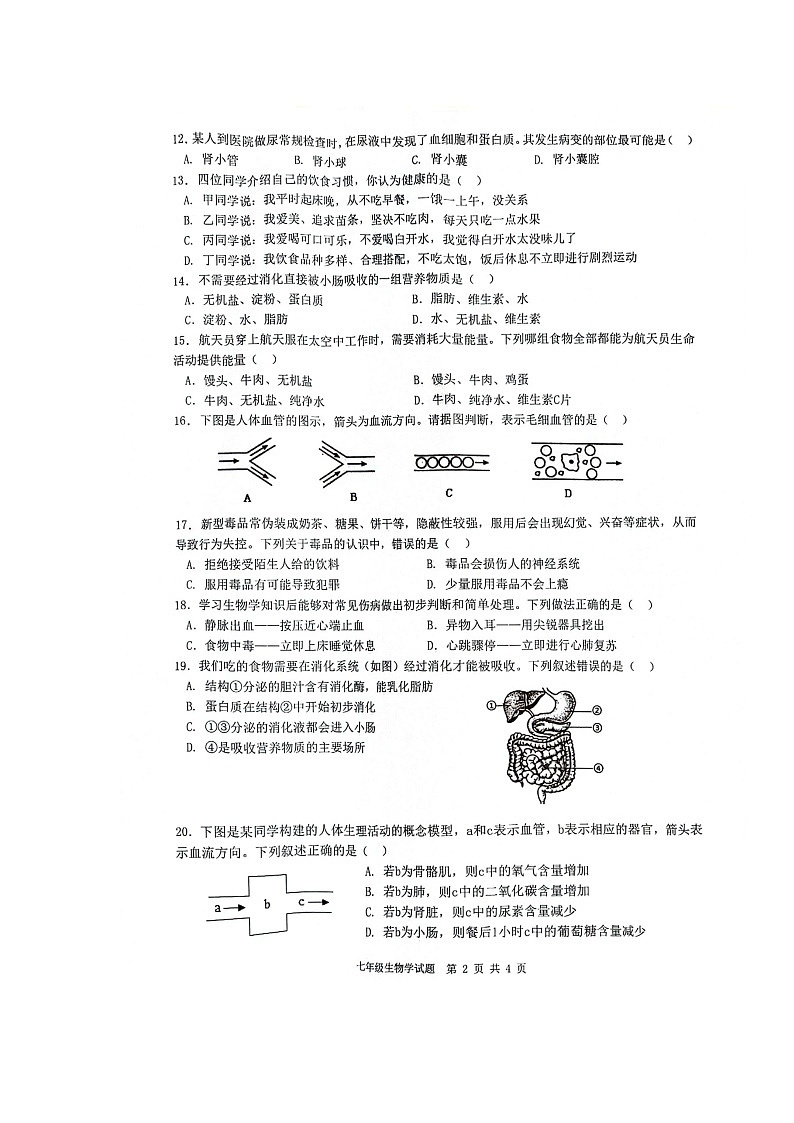 重庆市渝北区2023-2024学年七年级下学期期末考试生物试题第2页