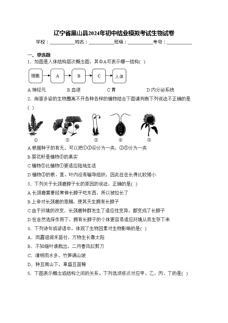 辽宁省黑山县2024年初中结业模拟考试生物试卷(含答案)01