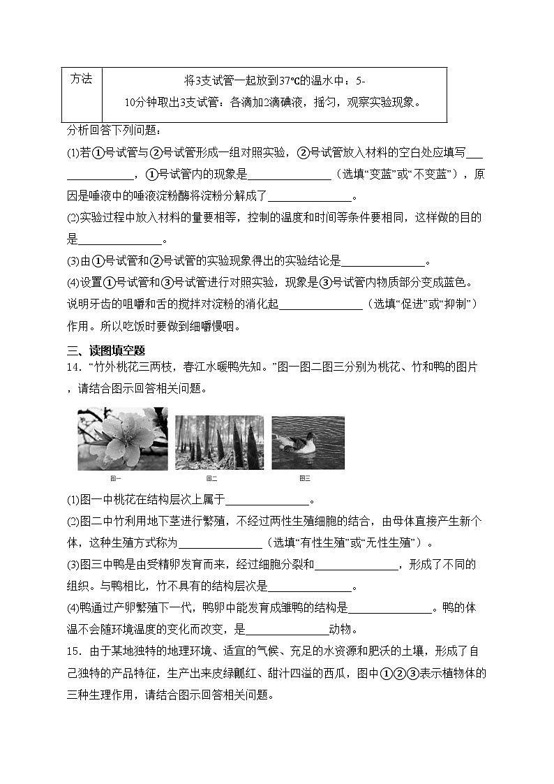 辽宁省营口市2024年初中中考适应性测试生物试卷(含答案)03