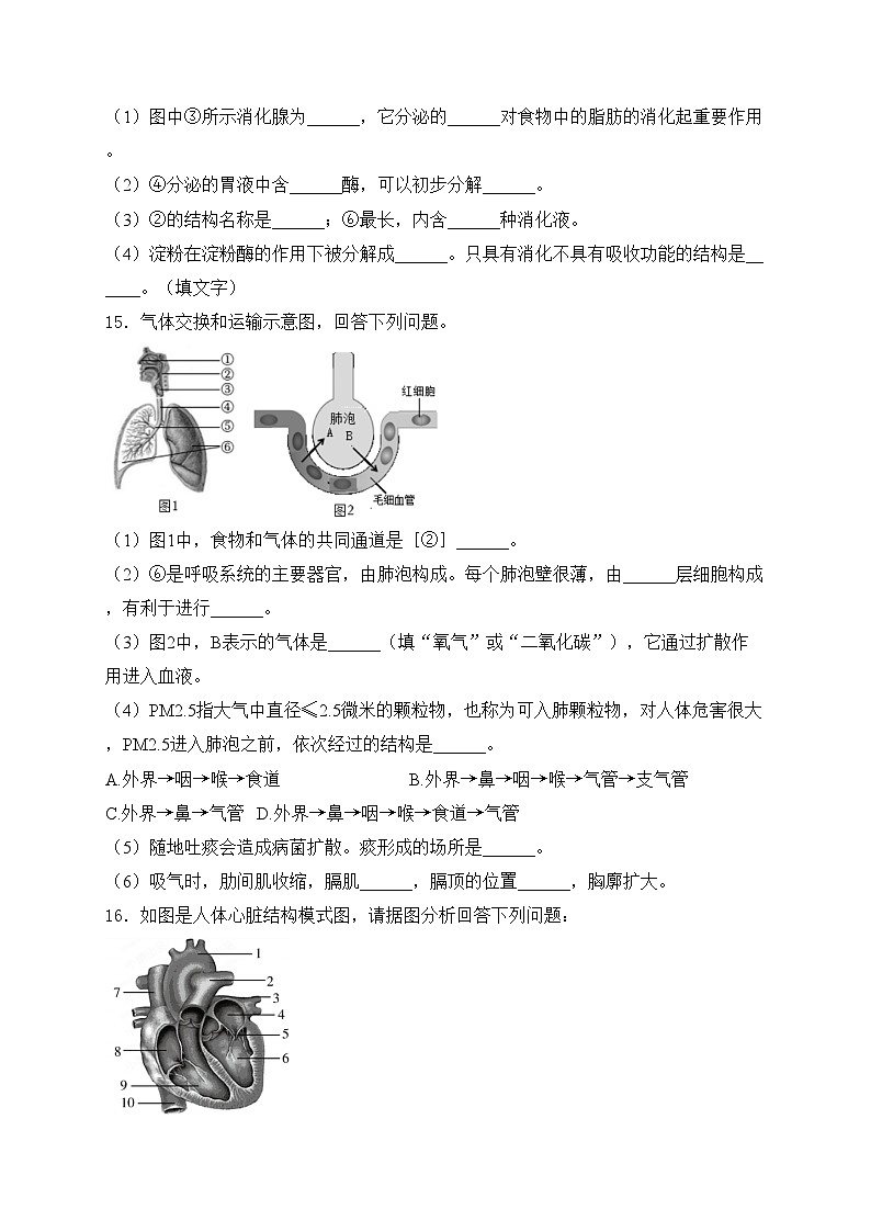 西宁市海湖中学2023-2024学年七年级下学期第二阶段学情评估生物试卷(含答案)第3页