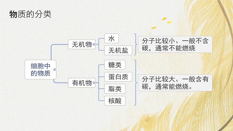 人教版 初中生物七年级上册1.2.4细胞的生活课件+视频08