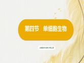 人教版 初中生物七年级上册1.3.4单细胞生物课件+视频