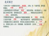 人教版 初中生物七年级上册1.3.4单细胞生物课件+视频