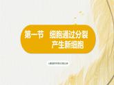 人教版 初中生物七年级上册1.3.1细胞通过分裂产生新细胞课件+视频