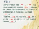 人教版 初中生物七年级上册1.3.1细胞通过分裂产生新细胞课件+视频
