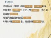 人教版 初中生物七年级上册1.3.2动物体的结构层次课件+视频
