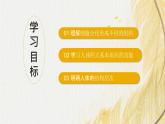 人教版 初中生物七年级上册1.3.2动物体的结构层次课件+视频