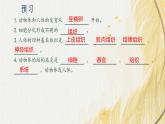人教版 初中生物七年级上册1.3.2动物体的结构层次课件+视频